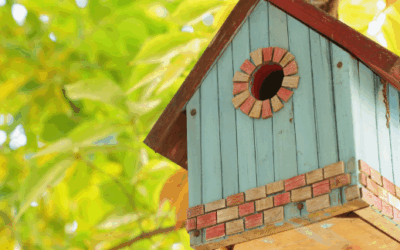 Puzzle 9: Frank’s Birdhouses