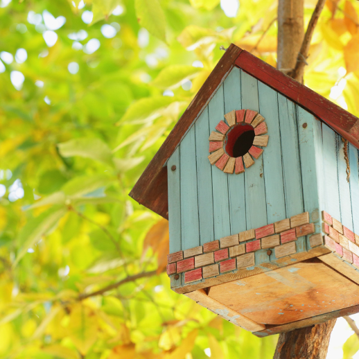 birdhouse