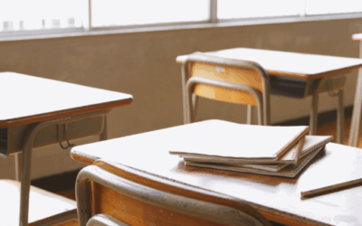 Puzzle 12: Nellie’s Classroom